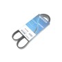 Ремінь генератора Citroen C3/C4/Peugeot 307 1.4-1.6HDi 02- (6PK1090)