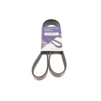 Ремінь генератора Ford Focus 1.8/2.0 04-12 (6PK1249)