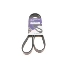 Ремінь генератора Ford Focus 1.8/2.0 04-12 (6PK1249)