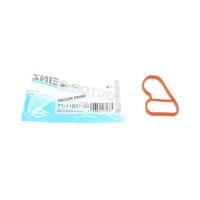 Прокладка колектора впускного BMW X5 (F15/F85) 15- B47