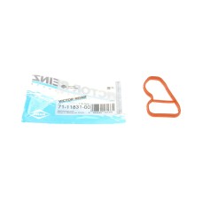 Прокладка колектора впускного BMW X5 (F15/F85) 15- B47