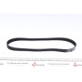 Ремінь генератора VW Golf III/IV/Bora/Octavia 1.9TDI/SDI (6PK906)