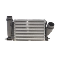Радіатор інтеркулера Renault Megane IV/Scenic IV 1.6 dCi 16-