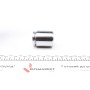 Поршень супорта (заднього) Chevrolet Cruze/Opel Astra J/Zafira 10- (40x48mm) (Ate)