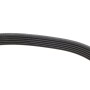 Ремінь генератора BMW X5/Ford Focus 1.4/1.6 16V 98-
