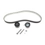 Комплект ГРМ Citroen C5/C6/C8//Peugeot 407 2.2HDI 06-/Ford Galaxy/Mondeo 2.2TDCi 08-15 (25.4x118z)
