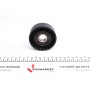 Ролик генератора Fiat Bravo/Doblo/Palio 1.6 16V 95- (паразитний)