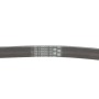 Ремінь генератора Ford Focus/Mondeo 2.0TDCi 14-/Fiat Bravo/Stilo 1.8/1.9D 07-