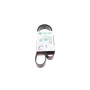 Ремінь генератора Mazda 3/5/6 2.0 DI/CD 02-10 (8PK1226)