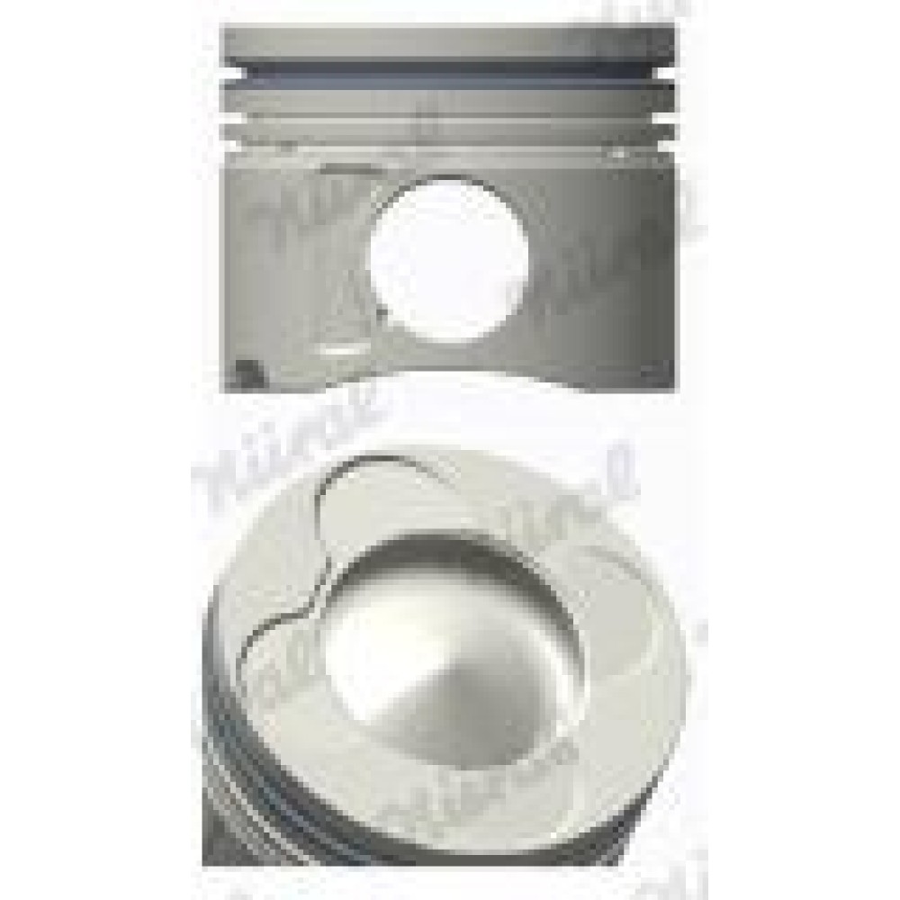 Поршень BMW 3 (E46/E90)/5 (E60/E61)/X5 (E53) 3.0D (M57) 02-08 (84.25mm/+0.25)