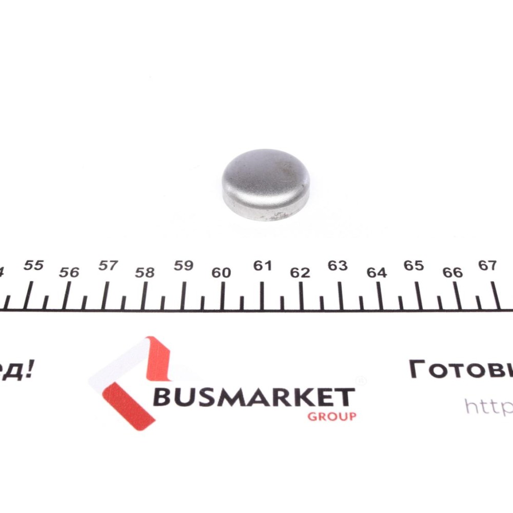 Заглушка блоку циліндрів MB OM601-602 (d=25mm)