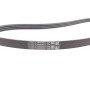 Комплект ременя генератора VW Passat/Audi A4/A6 1.6-2.0TDI 96-05