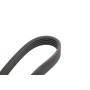 Ремінь генератора VW Passat B5/Audi A4/A6 1.6/1.8 95- (5PK1300)