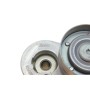 Натяжник ременя генератора Renault Scenic/Megane II/III 1.9dCi/2.0 16V 03-