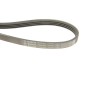 Ремінь генератора Fiat Brava 95-01/Peugeot 205/305 83-89/Renault Espace/Laguna 3.0 96-01 (4PK962)
