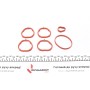 Комплект прокладок колектора впускного Fiat Bravo 1.2 16V 00-01