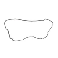 Прокладка кришки клапанів Ford Transit 2.0/2.4 TDCi 00-