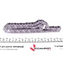 Ланцюг ГРМ VW T5 2.8-3.2 -09 (z=70)
