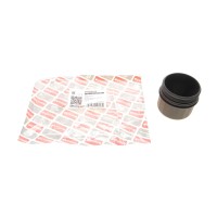 Кришка фільтра масляного BMW X5 (E53/E70/F15/F85)/X6 (E71/E72/F16/F86) 00-19