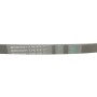 Ремінь генератора Peugeot Partner/307/508 02-/Citroen Berlingo/C2/C3/C4/C5 1.6 HDi 04-
