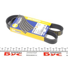 Ремінь генератора Citroen Jumper/Fiat Ducato/Peugeot Boxer (6PK950)