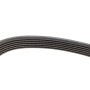Ремінь генератора VW Golf/Skoda Octavia 2.0i 04-13/Mazda 2/3 1.5 13-/Kia Ceed/Cerato 1.4/1.6 07-