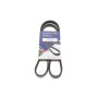 Ремінь генератора Fiat/Lancia/Nissan/Subaru (4PK1100)