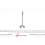Клапан (впуск) Audi A4/A6/VW Golf V/VII 1.8TSI-4.2FSI 02- (33.8x6x104) (азотований)