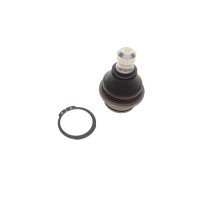 Опора кульова (передня/знизу) Nissan Navara/Pathfinder 04-14