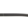 Ремінь генератора Mitsubishi Lancer/Galant 1.3-2.0 92-13/VW Jetta 2.5 06-10/Audi A3/Q3 2.5 11-
