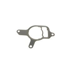 Прокладка насоса вакуумного VW Golf VI/Jetta III/IV 2.5 06-