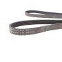 Ремінь генератора VW LT 2.8TDI 01-06/Volvo 850/S70/S80/V70 2.5TDI 95-06/Opel Astra/Insignia 1.6 12-