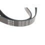 Ремінь генератора MB OM601/602 2.3D (6PK1000)
