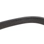 Ремінь генератора MB Atego 2/Axor 2 (OM926/OM924/OM902) 04- (8PK1920)