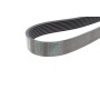 Ремінь генератора MB Vario/Atego/Atego 2 OM904 (8PK1420)