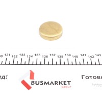 Заглушка блоку циліндрів (d=34,75mm) Латунь/Brass