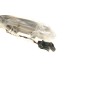 Повторювач повороту на дзеркало MB C-class (W204) 07-15 (L)