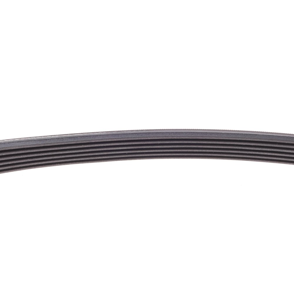 Ремінь генератора Citroen Berlingo/Fiat Ducato/Peugeot Boxer/Expert 1.9 D/TD 96-03 (6PK730)
