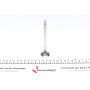 Клапан (випуск) Opel Corsa A/Kadett D/E 1.2/1.3 79-93 (29x7x104.5) (вальцювання)