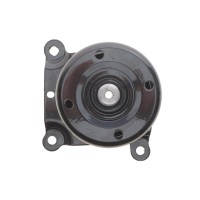 Натяжник ременя генератора Citroen Jumper 2.2HDI/Ford Transit 2.2DI 06- (+AC) (6C1Q19A216)
