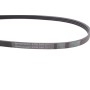 Ремінь генератора Nissan Almera/Primera/Sunny (4PK810)