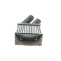 Радіатор інтеркулера Renault Megane/Scenic 1.5D/1.9D/2.0 96-