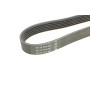 Ремінь генератора VW LT 2.5TDI 96-01/Peugeot Expert 1.9D/2.0HDI 98-