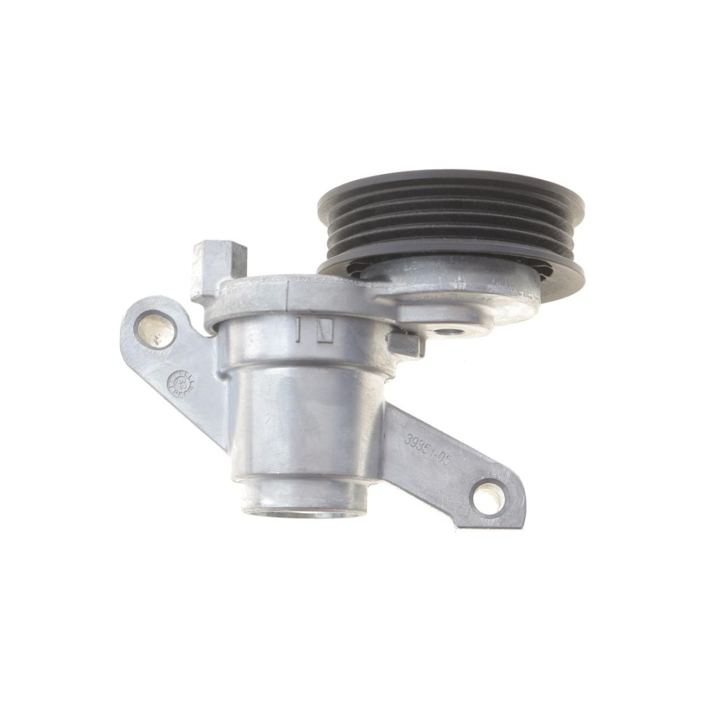 Натяжник ременя генератора Ford Transit Connect 2.5 Duratec 13- (70x22)