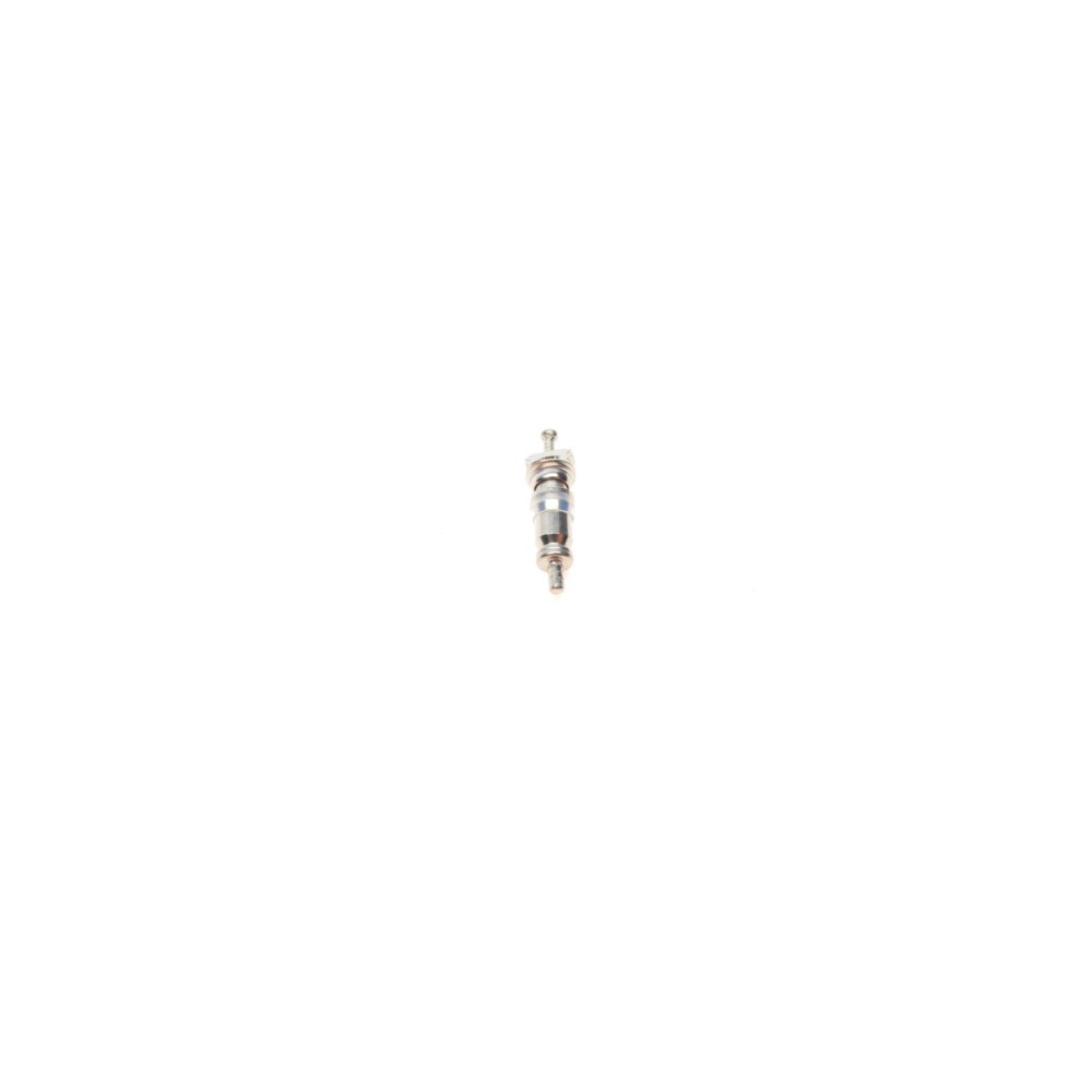 Комплект заправочних клапанів (R12/R134/5mm)  (10 шт.)