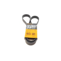 Ремінь генератора Iveco 2.3JTD/Renault Trafic III 1.6dCi 14- ALT, (-AC)