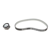 Комплект ГРМ Citroen C5 III/C6/Peugeot 407/607 2.7 HDi 04- (85x20)