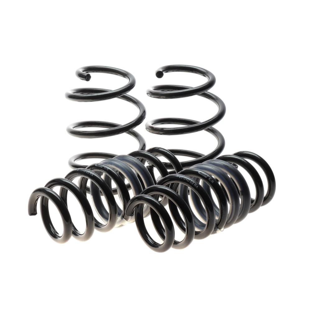 Комплект пружин (Pro-Kit) BMW X3 (G01/F97)/X4 (G02/F98) 3.0M (S58) 19- (4 шт.) (без регул. дор.просв.)