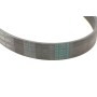 Ремінь генератора Nissan Tiida 1.8 07-12/Fiat Ducato 2.0 94-02 /Renault Espace 3.5 V6 02-