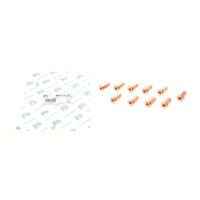 Гайка колектора випускного BMW (M7x1.0mm) (к-кт 10шт)